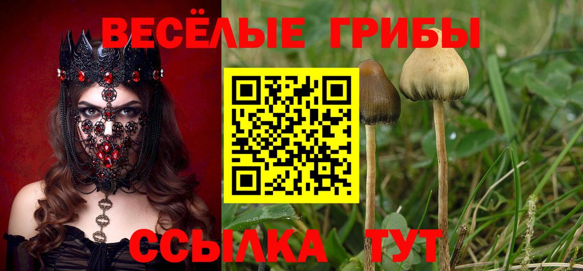 Псилоцибиновые грибы Magic Shrooms  Вход с VPN  Галлюциногенные грибы ЛСД  Партизанск 